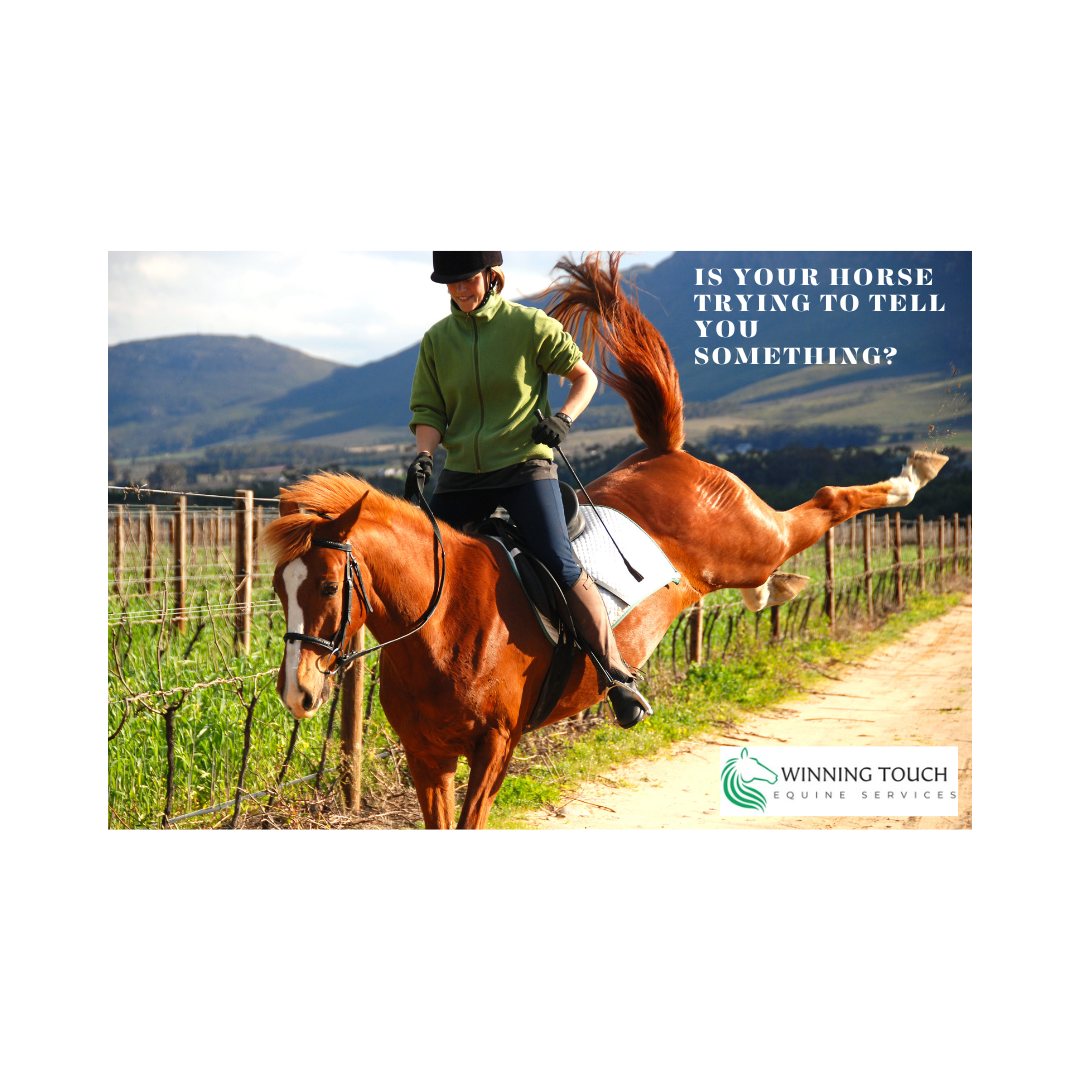 Signs of Poor Saddle Fit:  Is Your Horse Trying to Tell You Something?