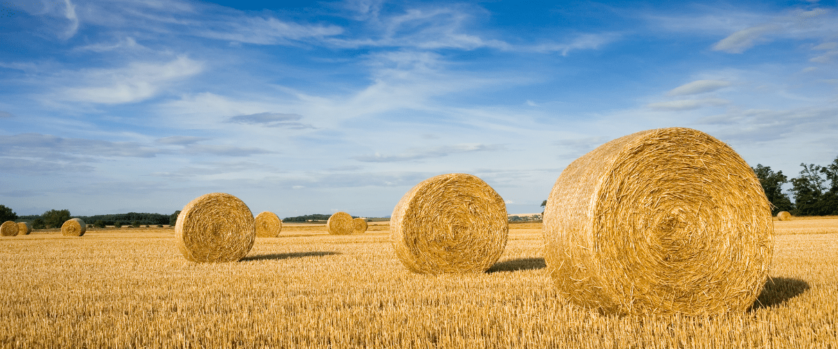 BALING SEASON! - Winning Touch Equine Services