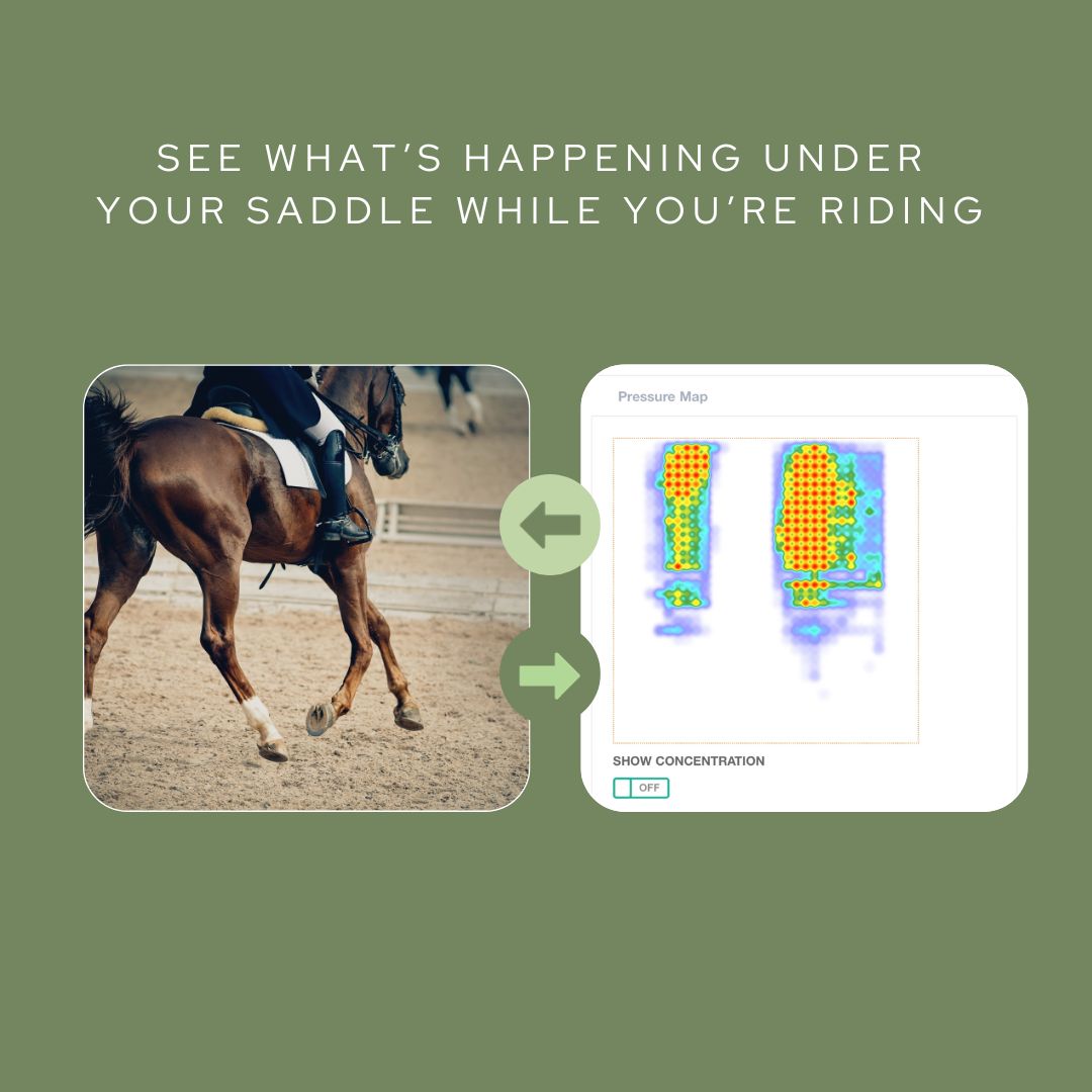 Saddle Fit Assessments:  Ensuring Comfort and Performance